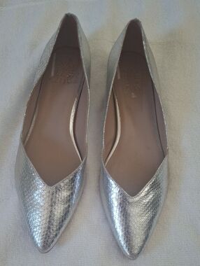 Natrulizer Silver Pointed Toe Flats